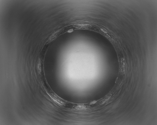 X0000082980562200702230036