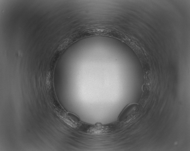 X0000082980563200702230036