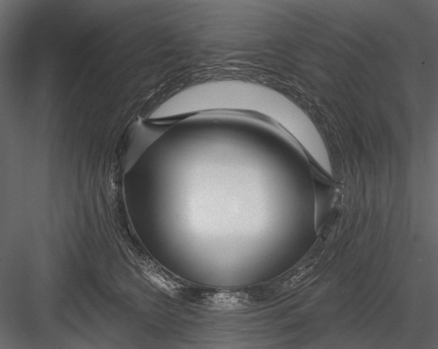 X0000082980566200702230036