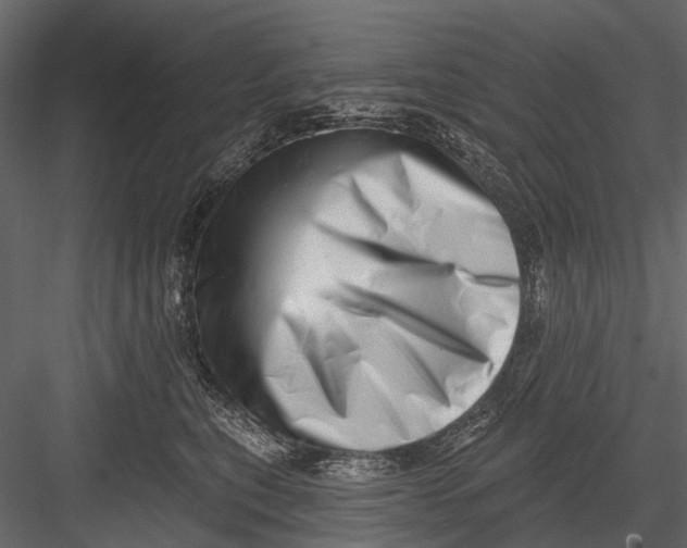 X0000082980567200702230036