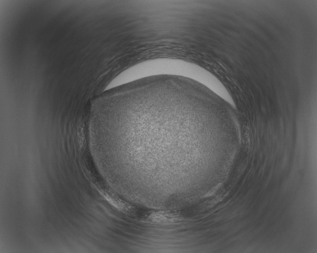X0000082980568200702230036