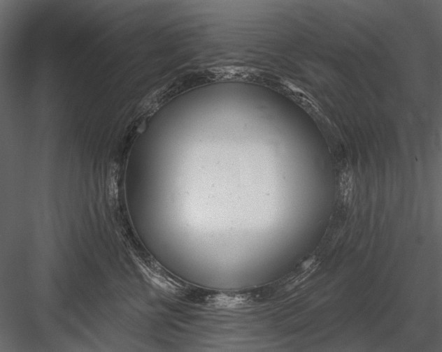 X0000082980570200702230036