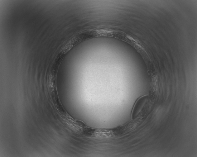 X0000082980571200702230036