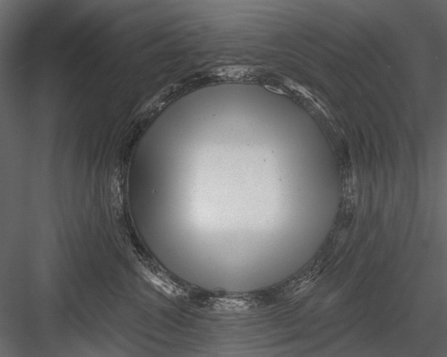 X0000082980572200702230037