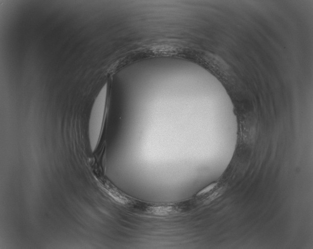 X0000082980575200702230037