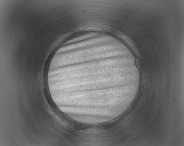 X0000082980578200702230036