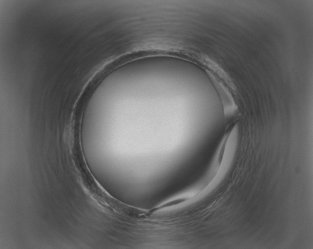 X0000082980580200702230036
