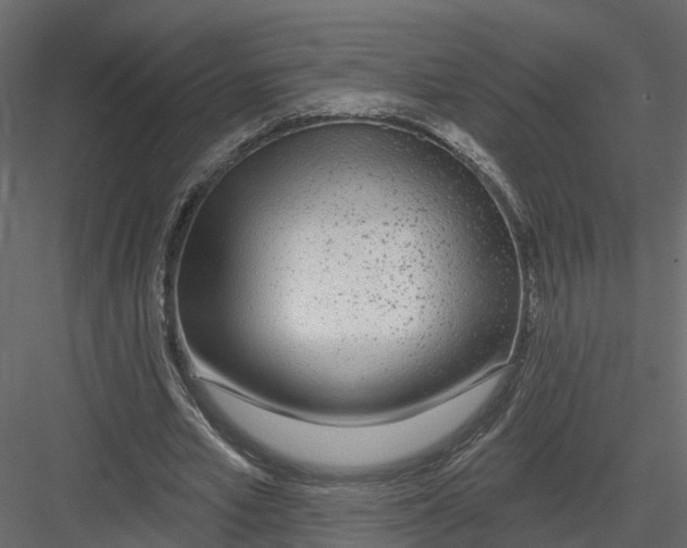 X0000082980581200702230036