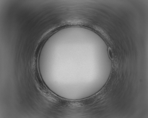 X0000082980583200702230036