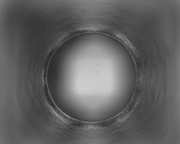 X0000082980585200702230036