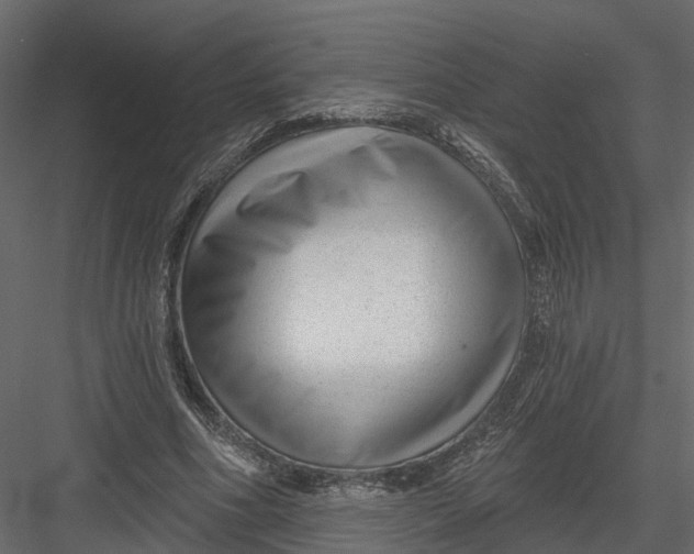 X0000082980586200702230036