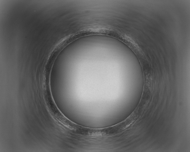 X0000082980587200702230036