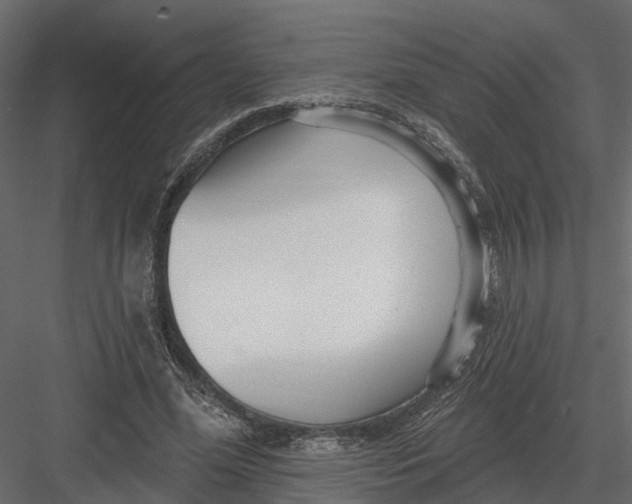 X0000082980588200702230036