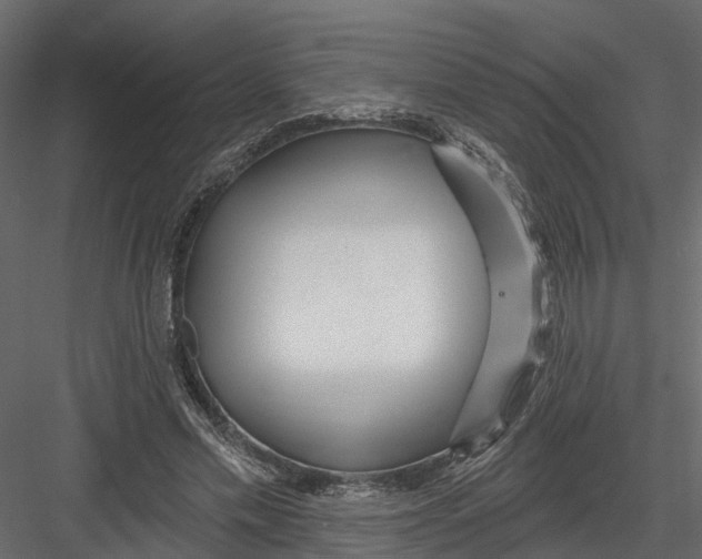 X0000082980589200702230036