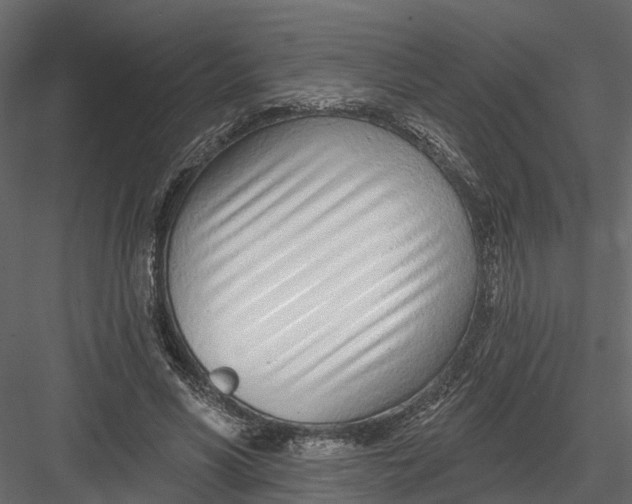 X0000082980590200702230036