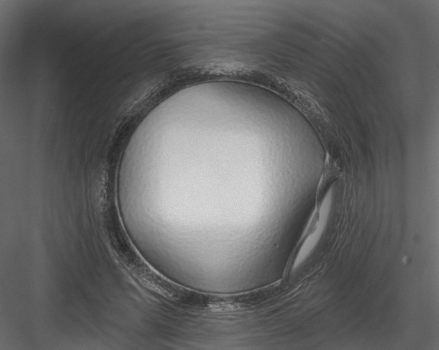 X0000082980591200702230036