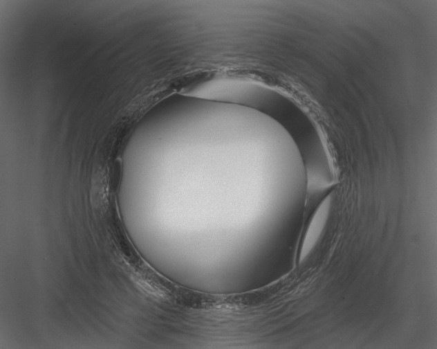 X0000082980593200702230035