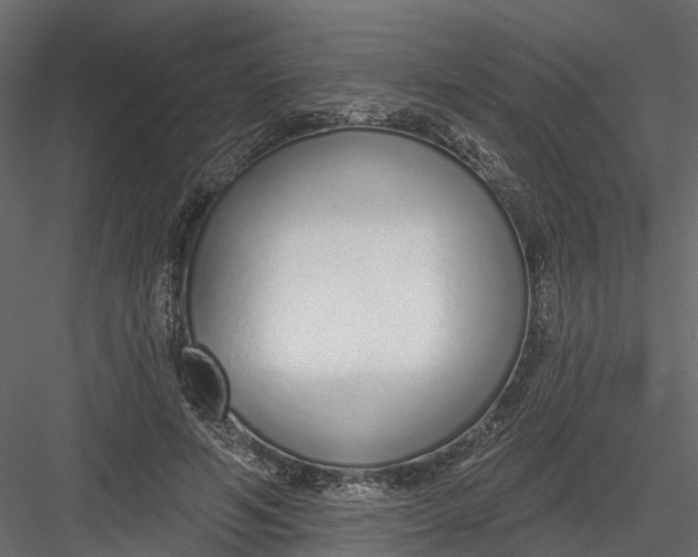 X0000082980594200702230035