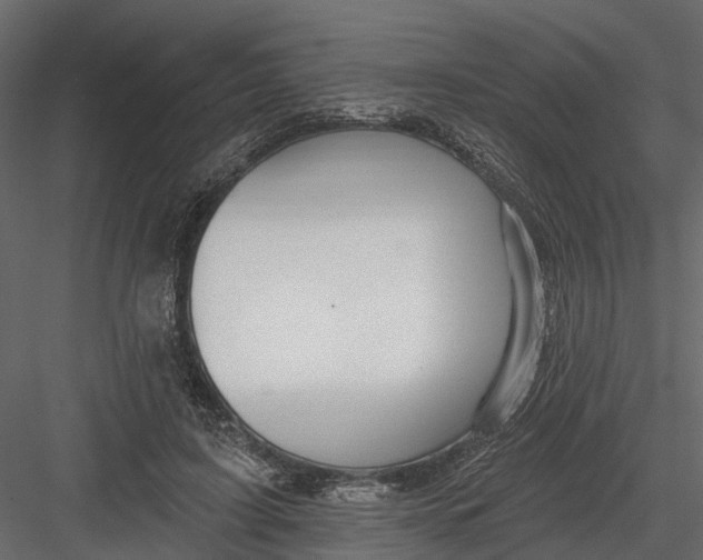 X0000082980595200702230035