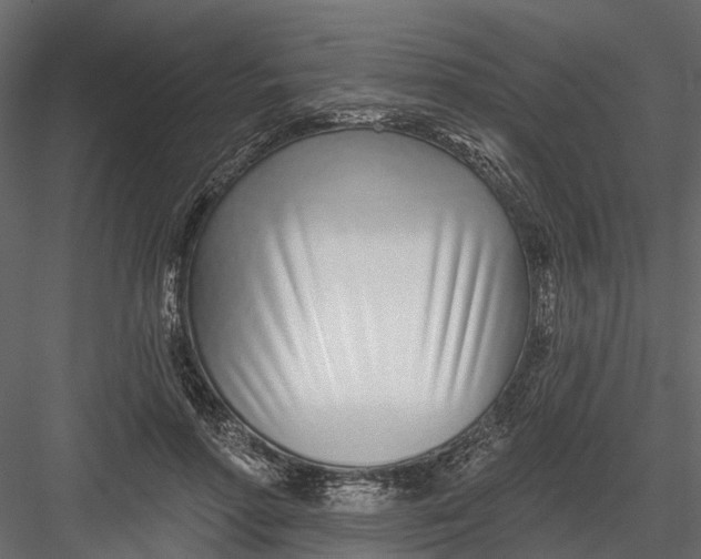 X0000082980598200702230035