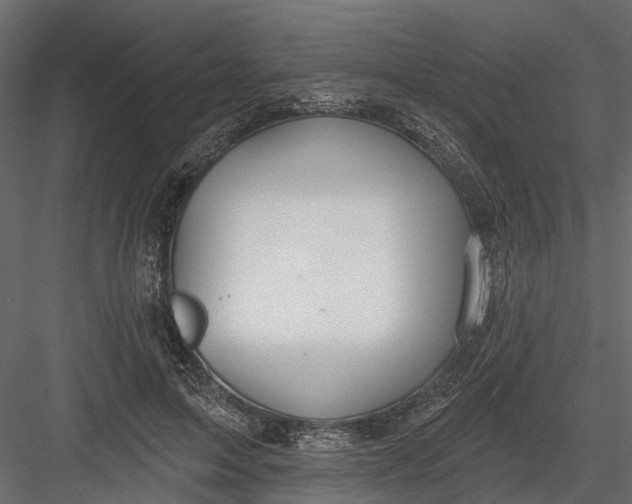 X0000082980599200702230035