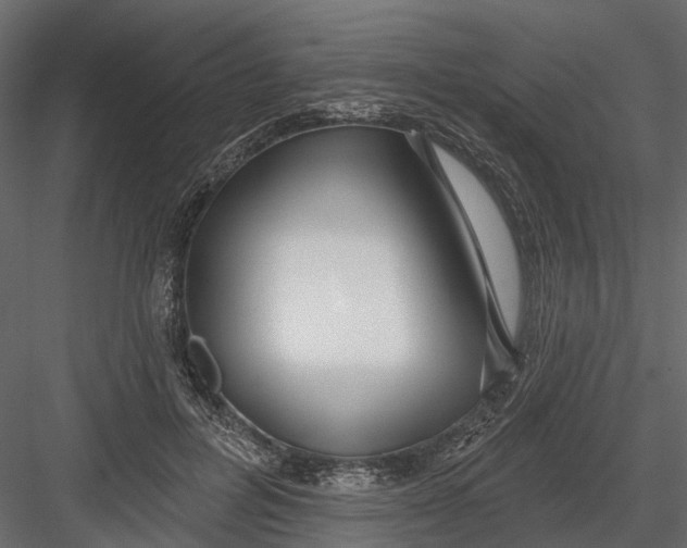 X0000082980600200702230035