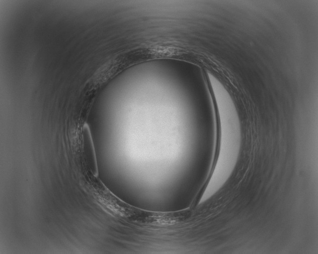 X0000082980601200702230035