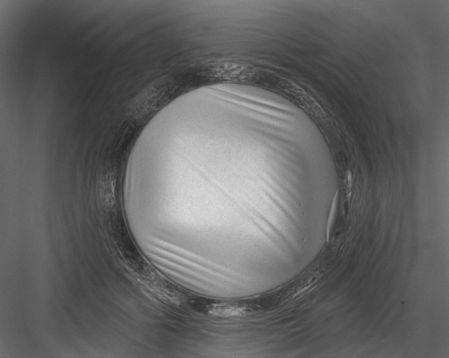 X0000082980602200702230035