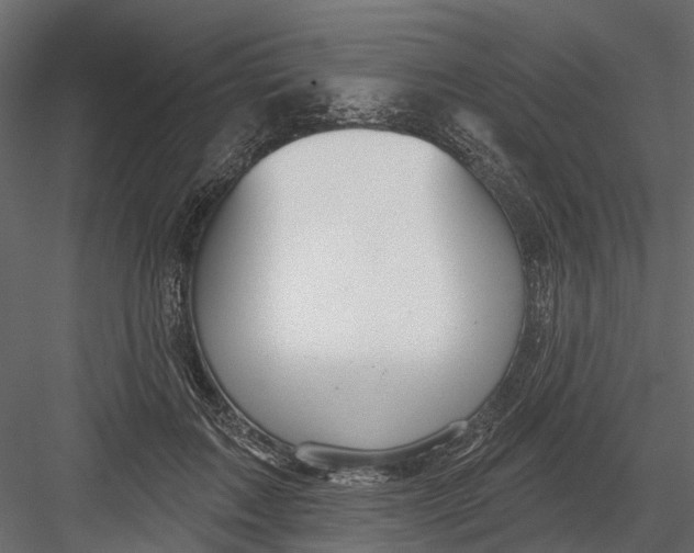 X0000082980603200702230035