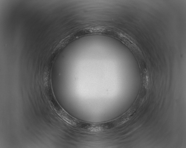 X0000082980604200702230035
