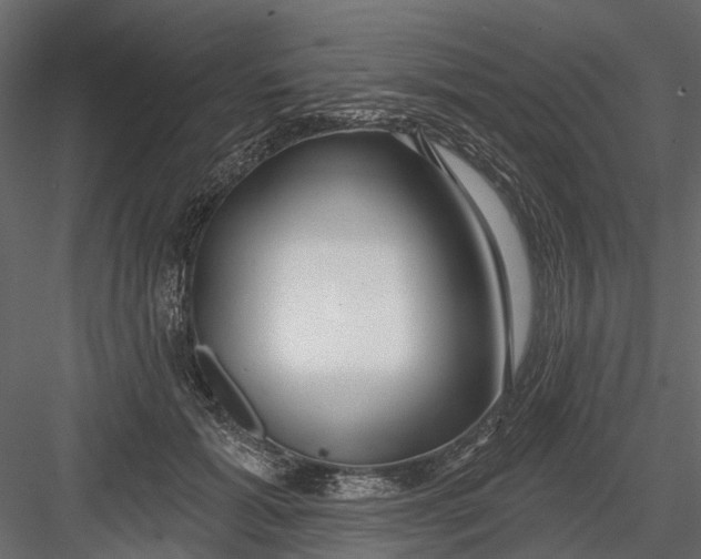 X0000082980605200702230035