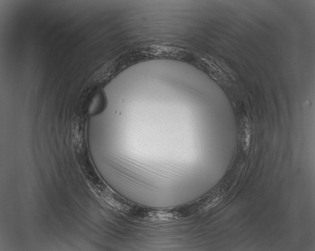 X0000082980607200702230035