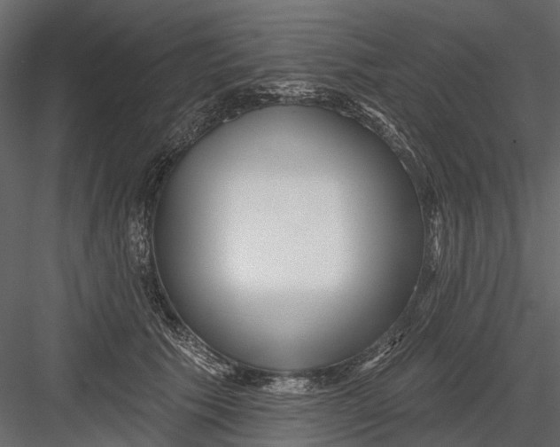 X0000082980609200702230035