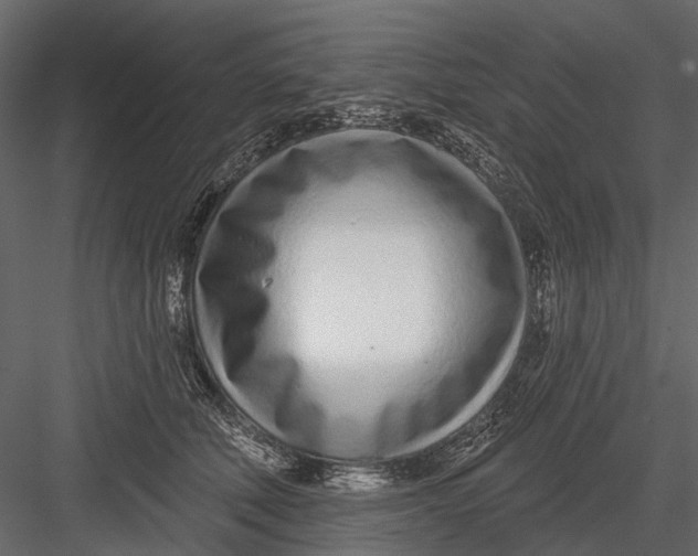X0000082980610200702230035