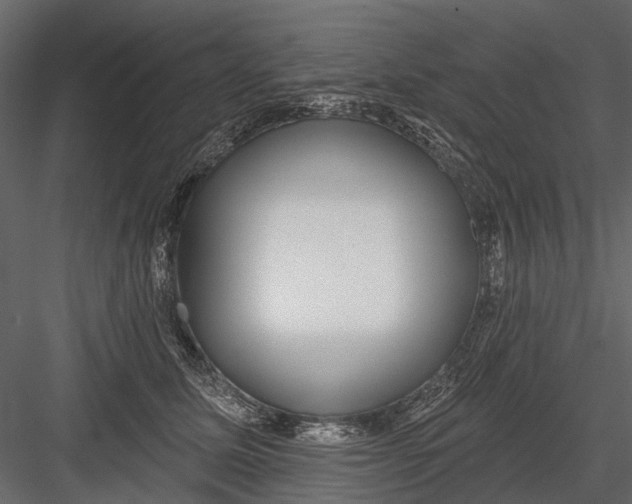 X0000082980611200702230035