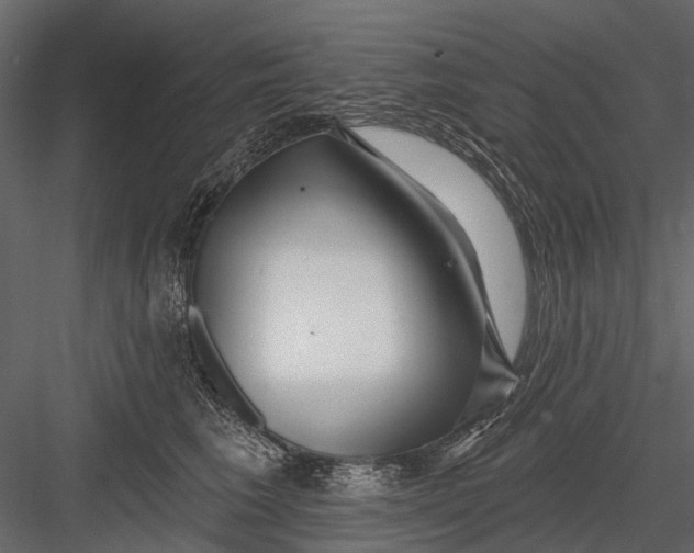 X0000082980613200702230035