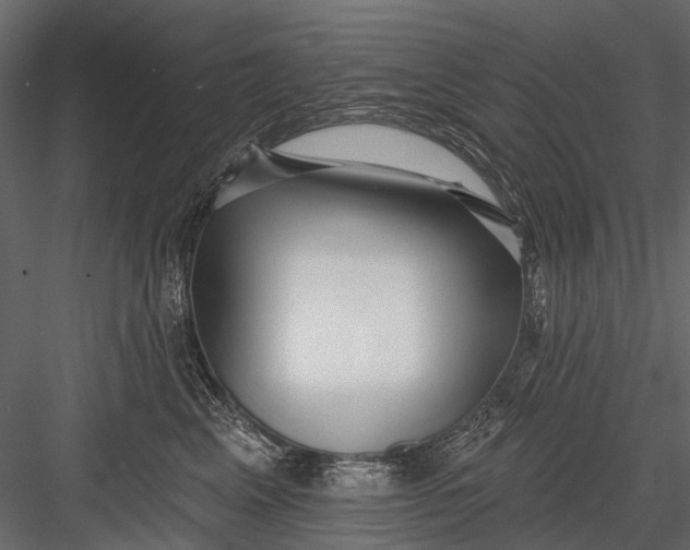 X0000082980617200702230035