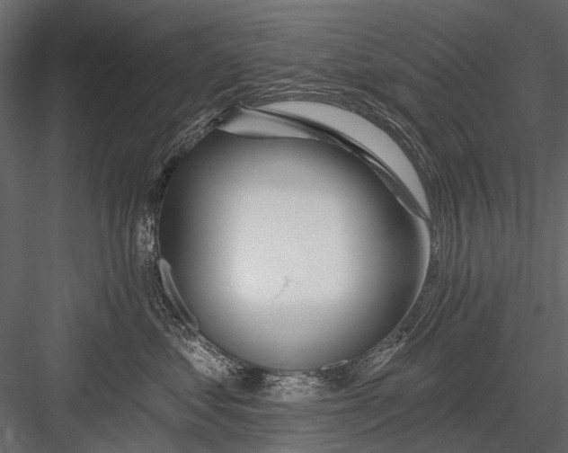 X0000082980621200702230035
