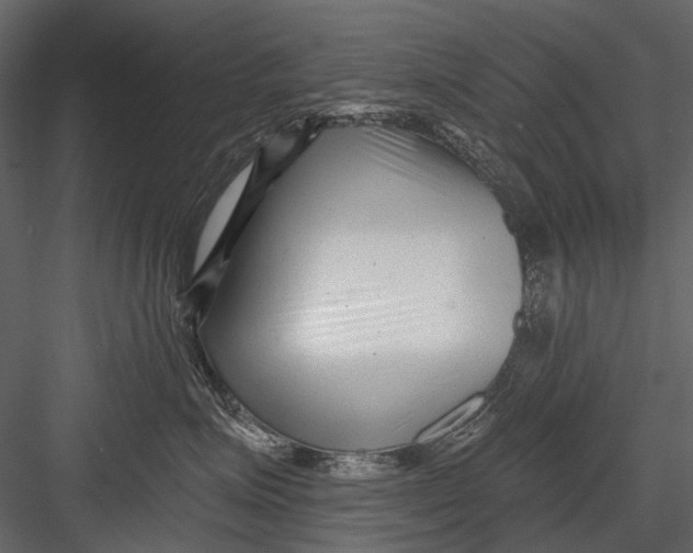 X0000082980623200702230035
