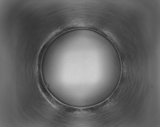 X0000082980630200702230034