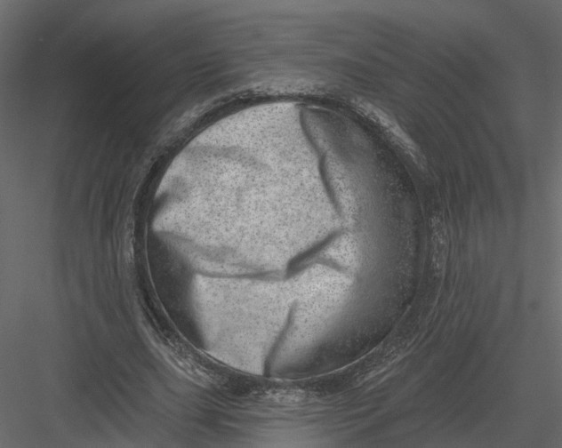 X0000082980631200702230034