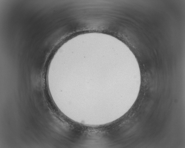 X0000082980632200702230034