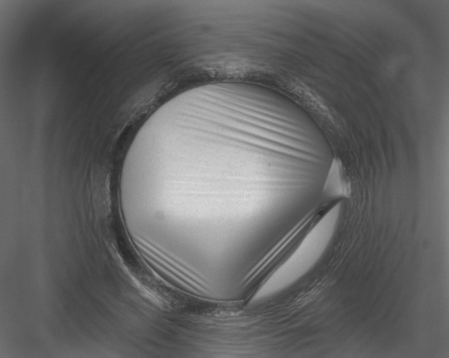 X0000082980638200702230034