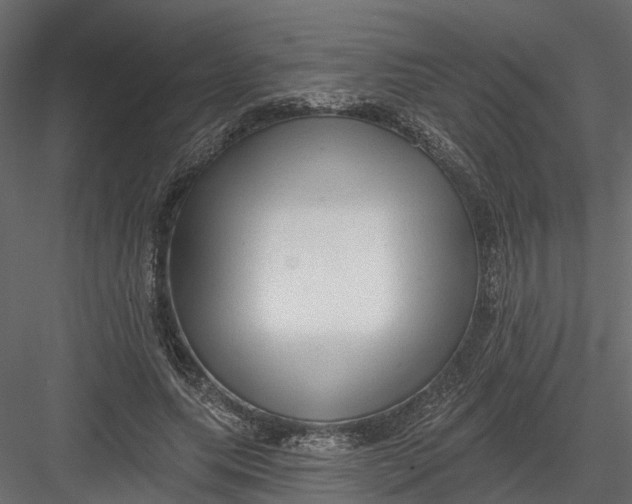 X0000082980639200702230034