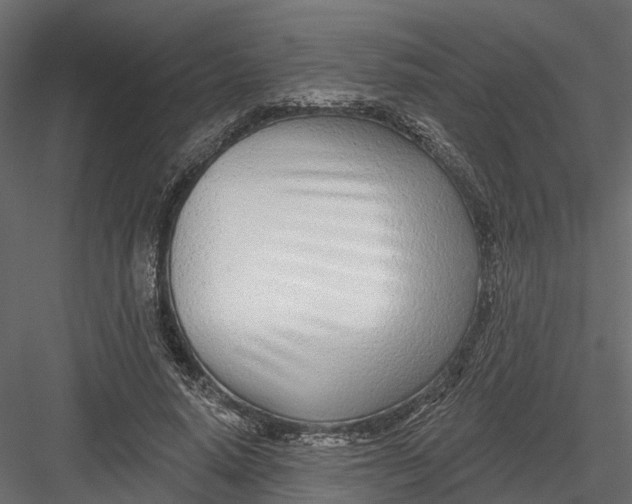 X0000082980640200702230034