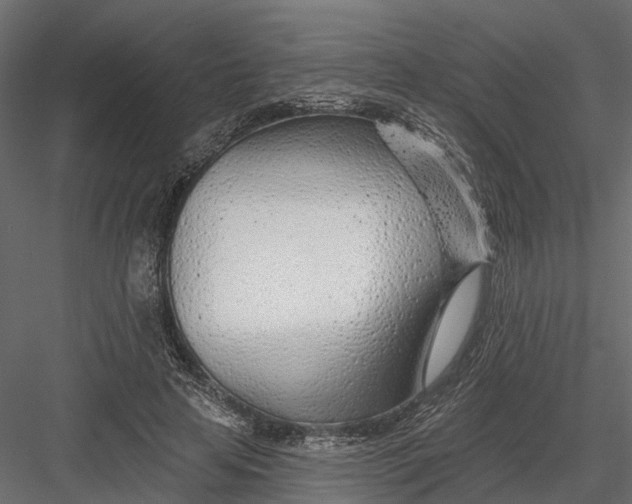 X0000082980641200702230034