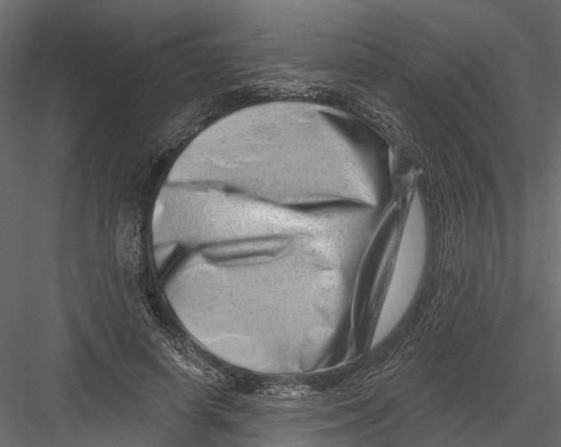 X0000082980642200702230034