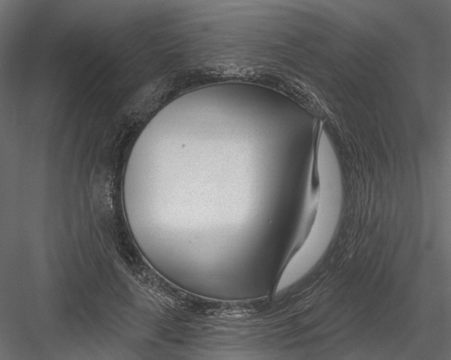 X0000082980643200702230034