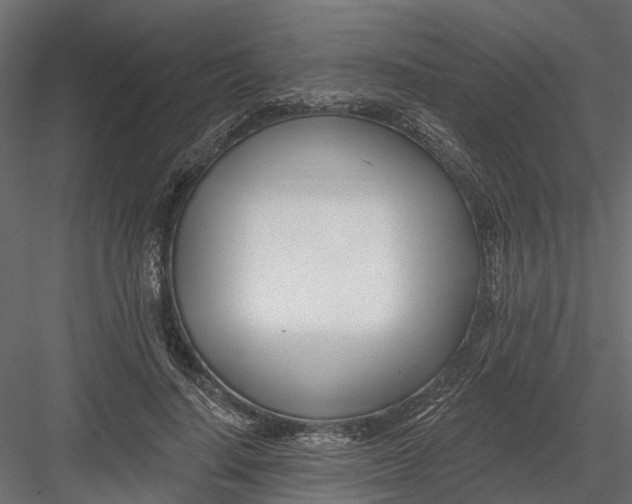 X0000082980644200702230034