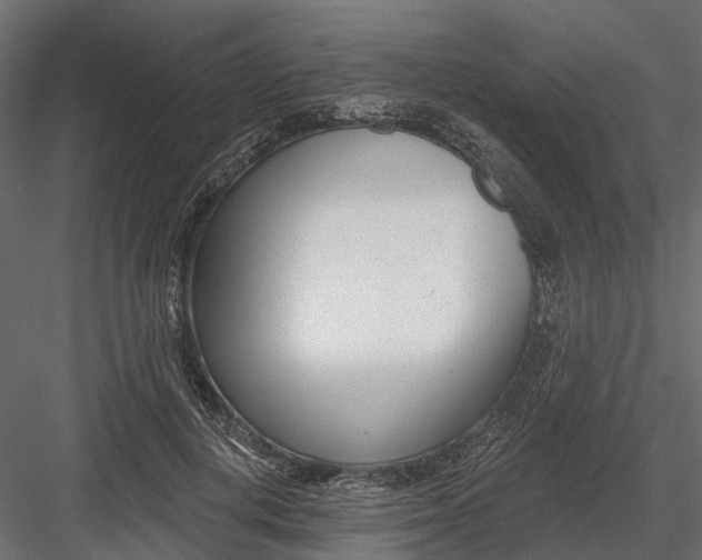 X0000082980648200702230034